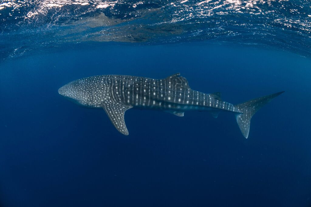 6ccce15c-57ef-46b0-82c0-9eb370118b70