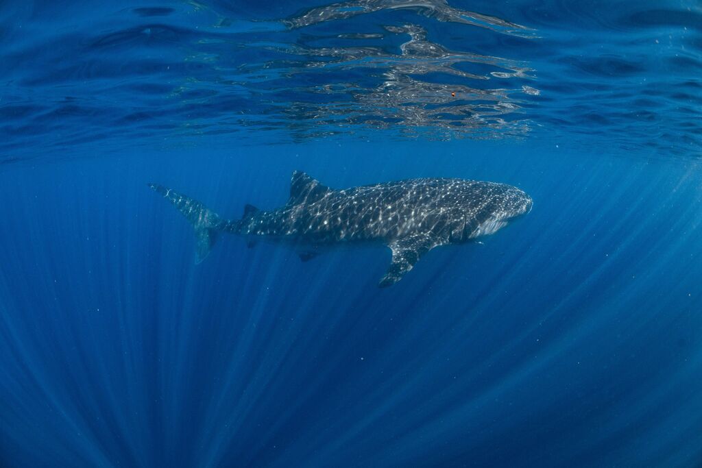 1c712fa3-2b4c-4b32-a024-7336d3ceeba0