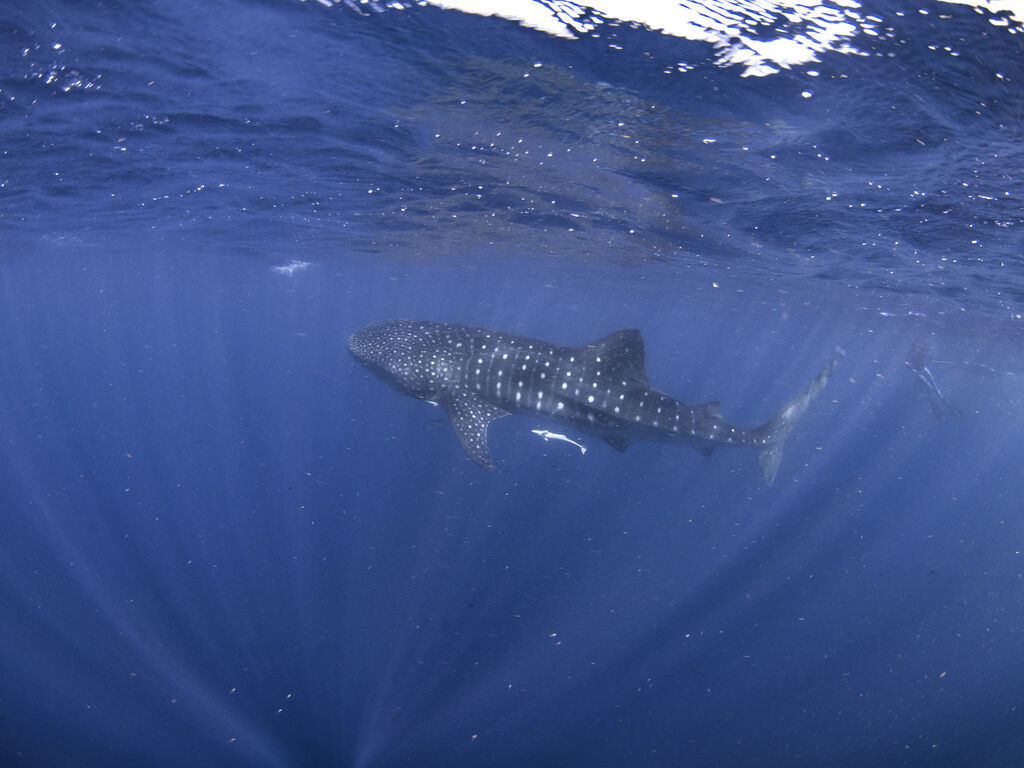 1d5edcb2-5597-4d09-a391-c80cf6bb1fb2