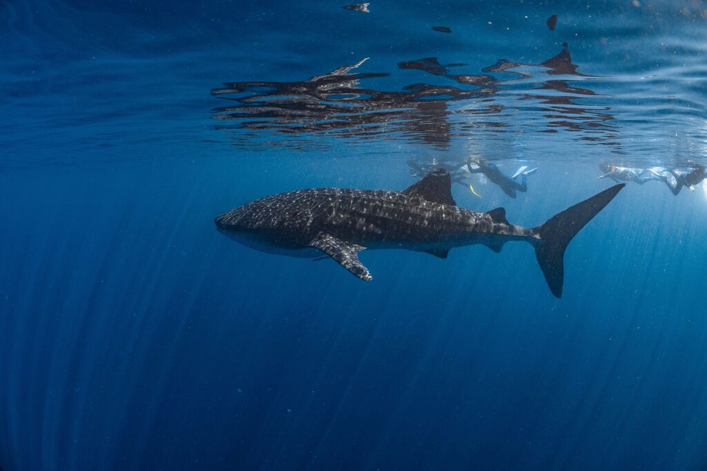 5a26cb63-37e4-4915-b944-7ed6738a4295