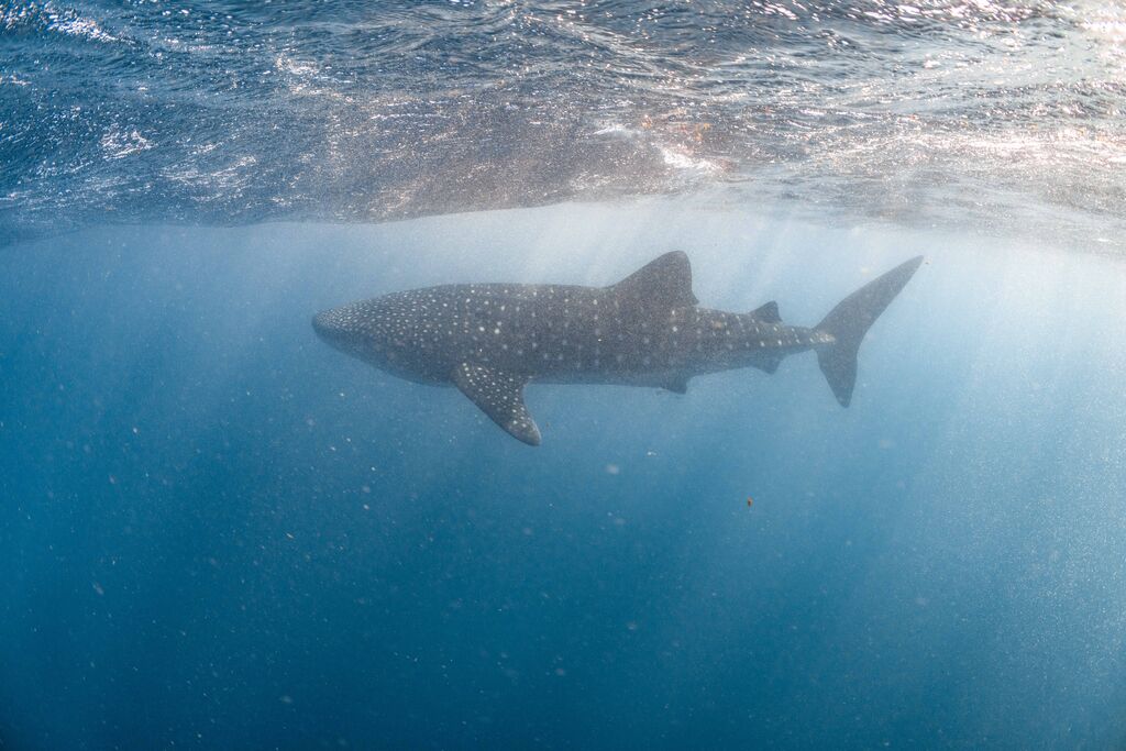 4ef88a90-6be8-422c-9d50-84ca9b8edd42