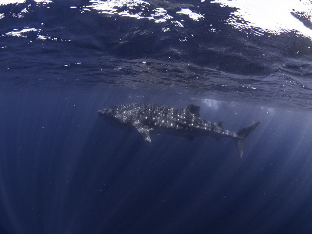 87783db8-8c1d-4254-b052-6bd20cfd4514