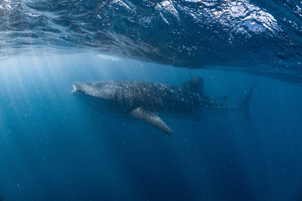 3e340e56-5596-4fba-a0d3-322692fcdc54