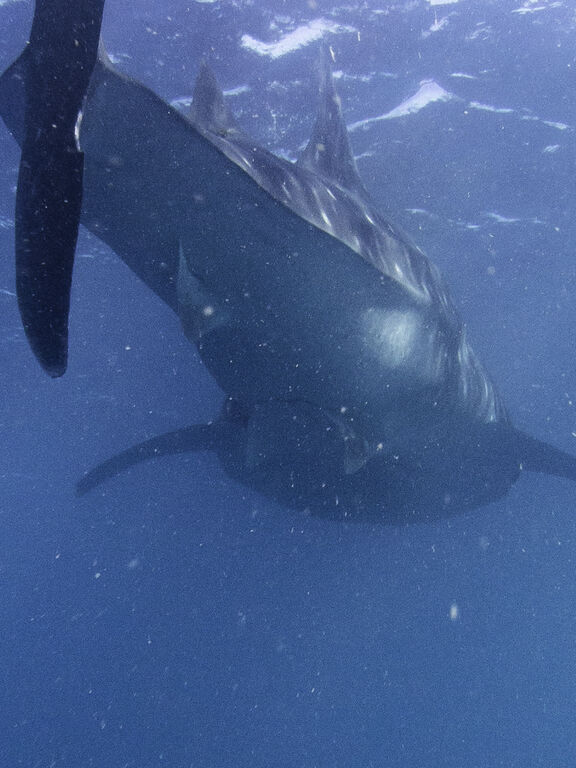 1c712fa3-2b4c-4b32-a024-7336d3ceeba0