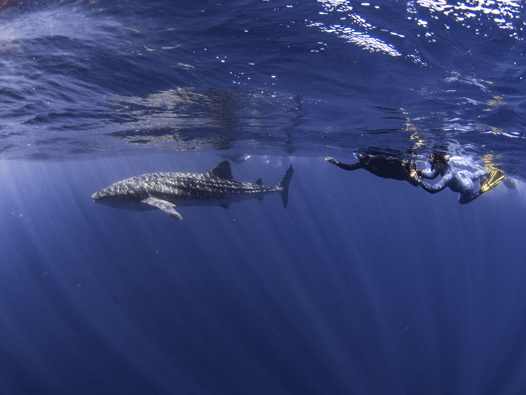 95222eeb-79f9-40f8-a324-5396052207cc