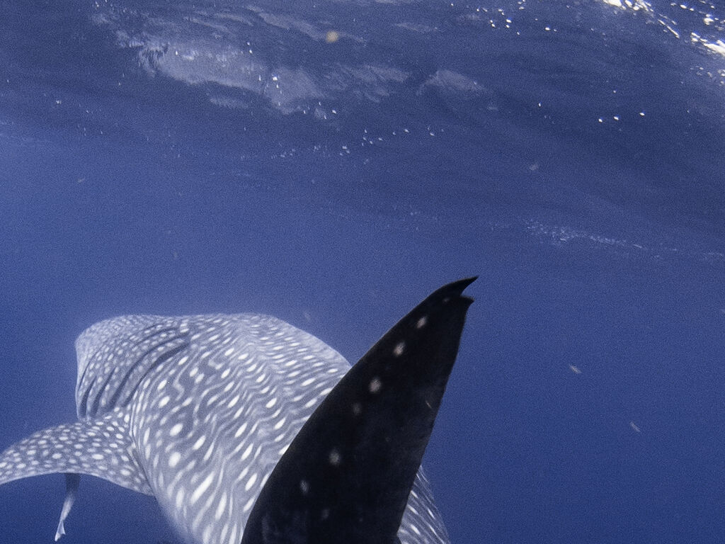 c9bf7e4e-8d5c-431c-b9e6-99a9f3adebae