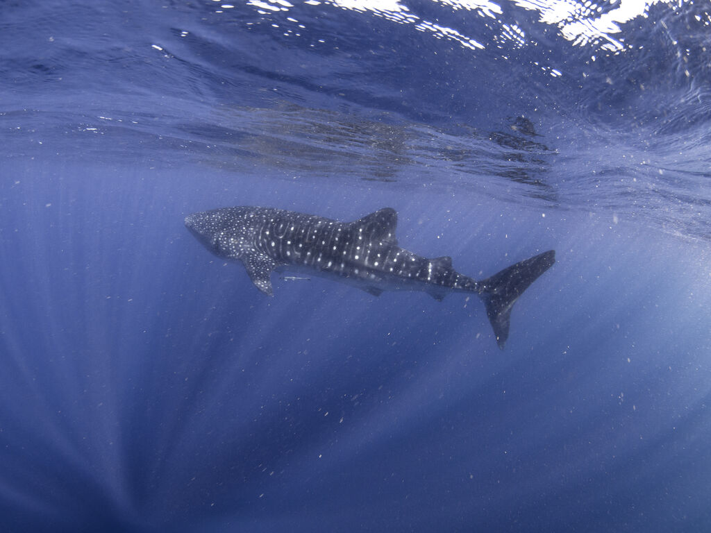 3da6b70d-b913-43ff-b83c-720cca9fafe2