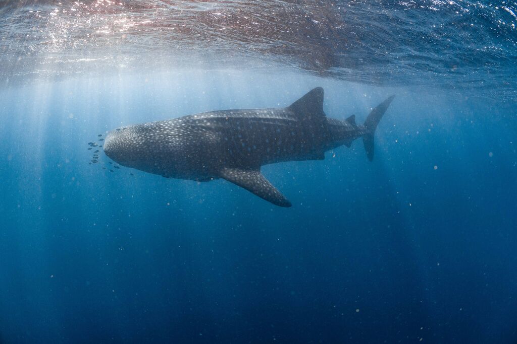 79db757f-721f-4516-9c14-2eedea3eb3cf