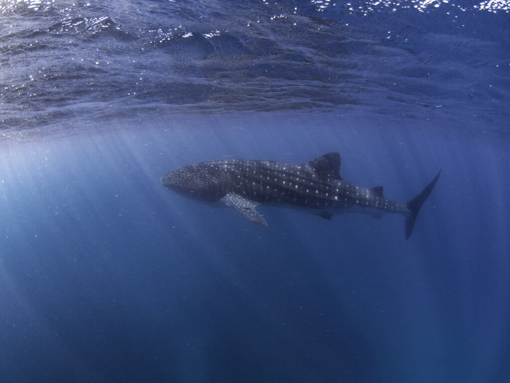 9daddff9-ae70-42d6-9dfa-dd2610761dc3