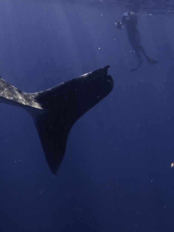 95222eeb-79f9-40f8-a324-5396052207cc