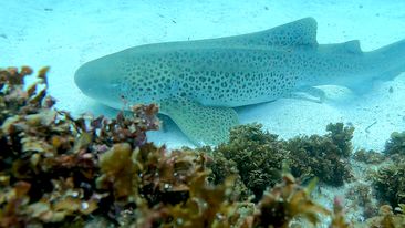 ca0b3b29-7ad1-40b7-ab90-28097e99080e