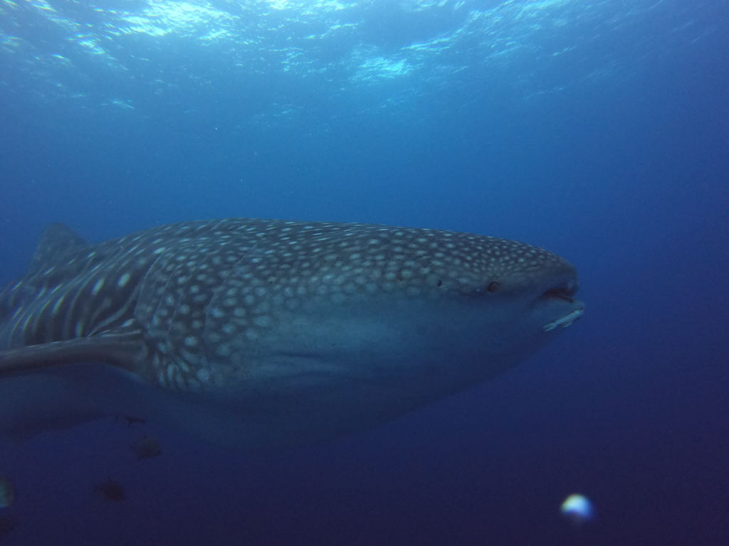 03e57f74-cd56-41db-bd57-d6cba568c9c0