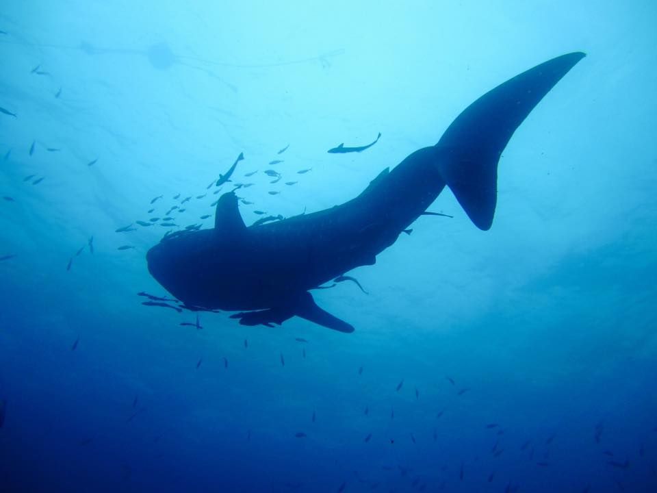 26aa73e7-afa3-4ec8-ad01-c0a25e6cf1c1