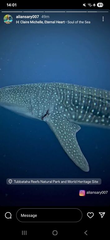 74369cd8-8115-4733-bd5e-f077d7bee227