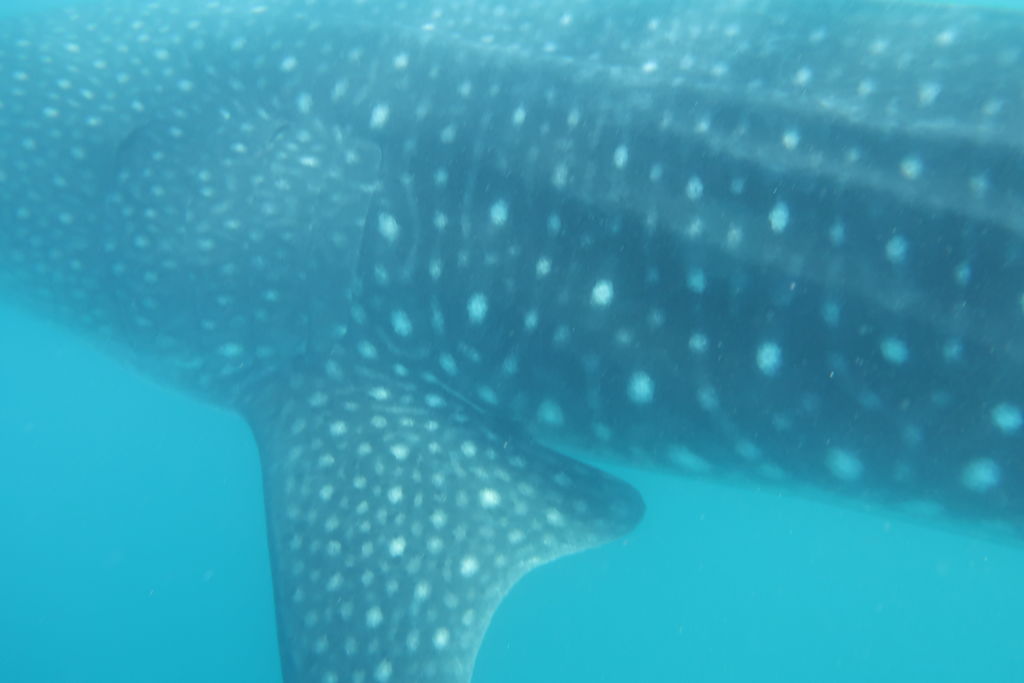 96aa67a3-1e22-44d5-af67-bd428e01e789