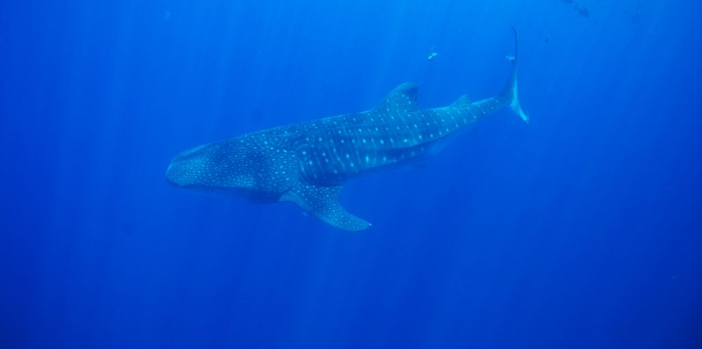 3910ce84-47e3-4d8a-a006-d7e1d21f9727