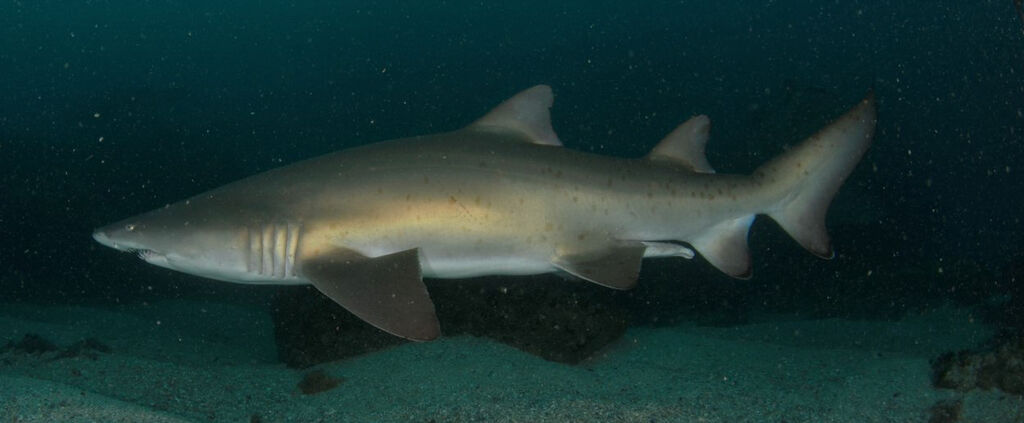 d40a2f61-69ad-43d9-a822-aeb20a2b95d5