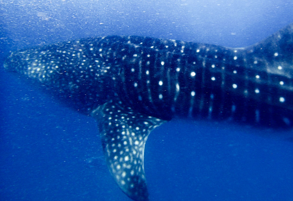 df6811af-7c07-489d-b318-7b9655222ddd