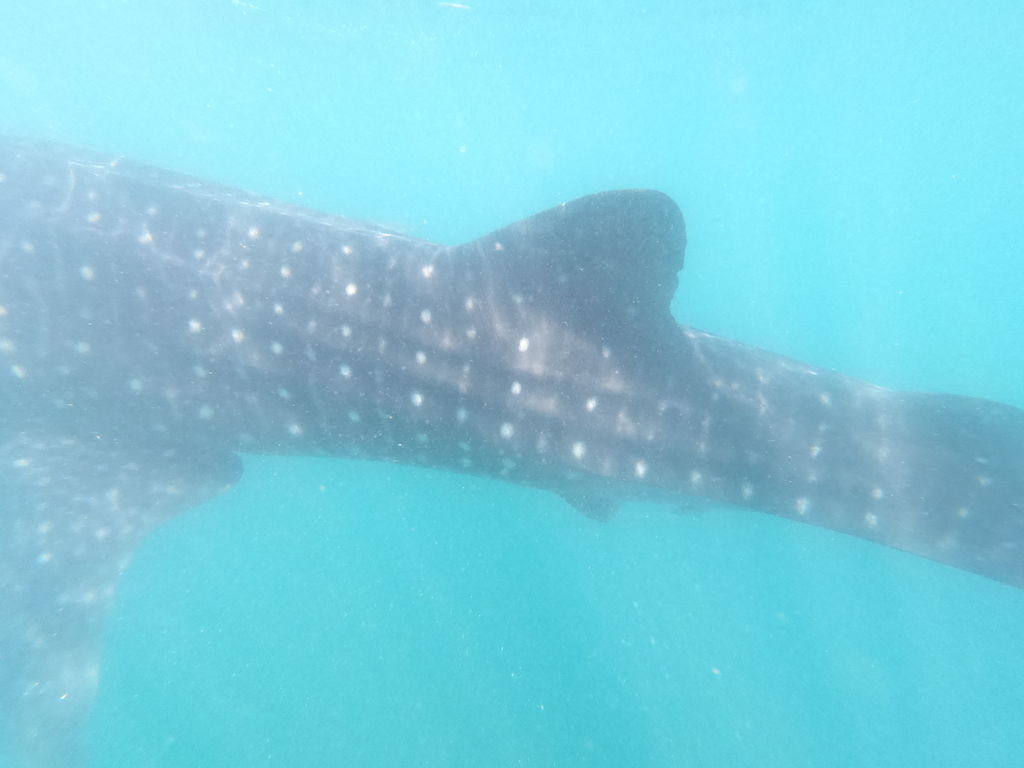 4a0a259e-20e7-4090-b93f-a45b99d8d239