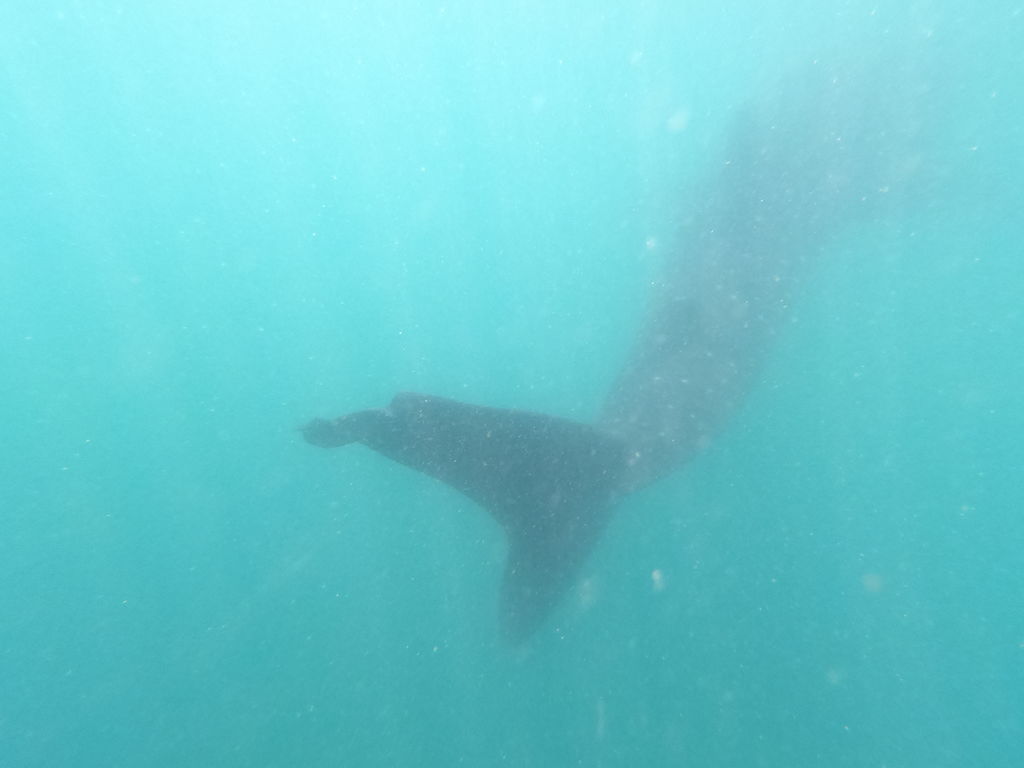 4a0a259e-20e7-4090-b93f-a45b99d8d239