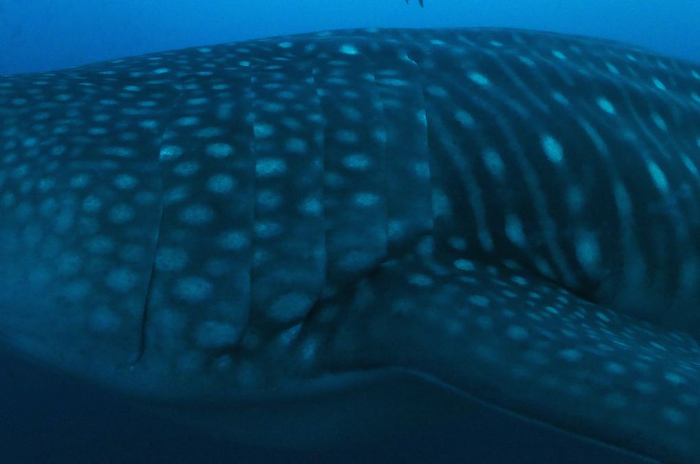 2bf574d6-daaf-40a1-b26a-c7969ec20ccc