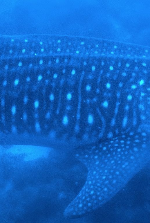 2bf574d6-daaf-40a1-b26a-c7969ec20ccc