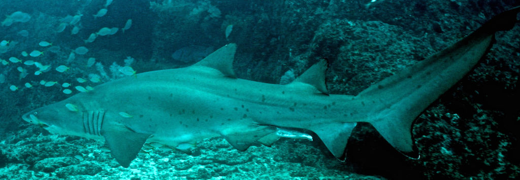 bf122892-aade-44bf-976a-d8180c8f126a