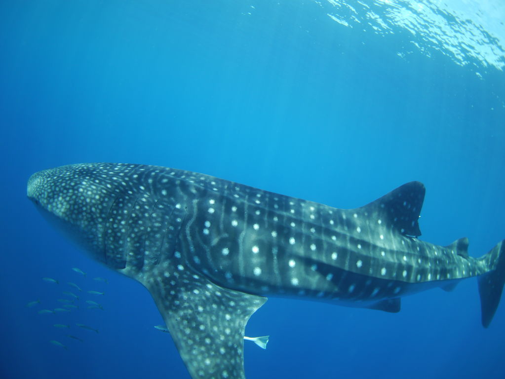 2211e823-78ee-4d11-9c99-d3954f87cf2b