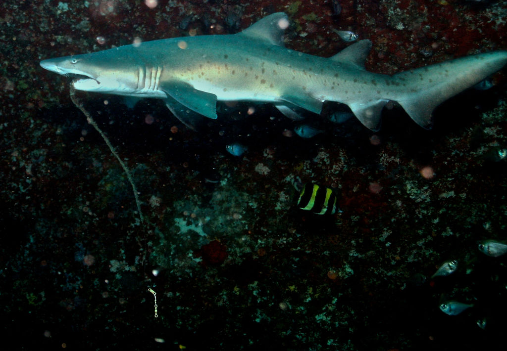 b6819caf-a452-4be9-abfc-216b3d4a4b22