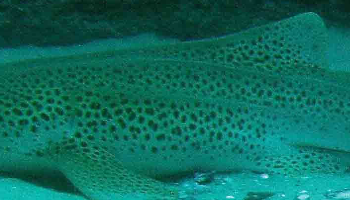 92d1e1e1-a3d3-4422-b413-28fbe513335f