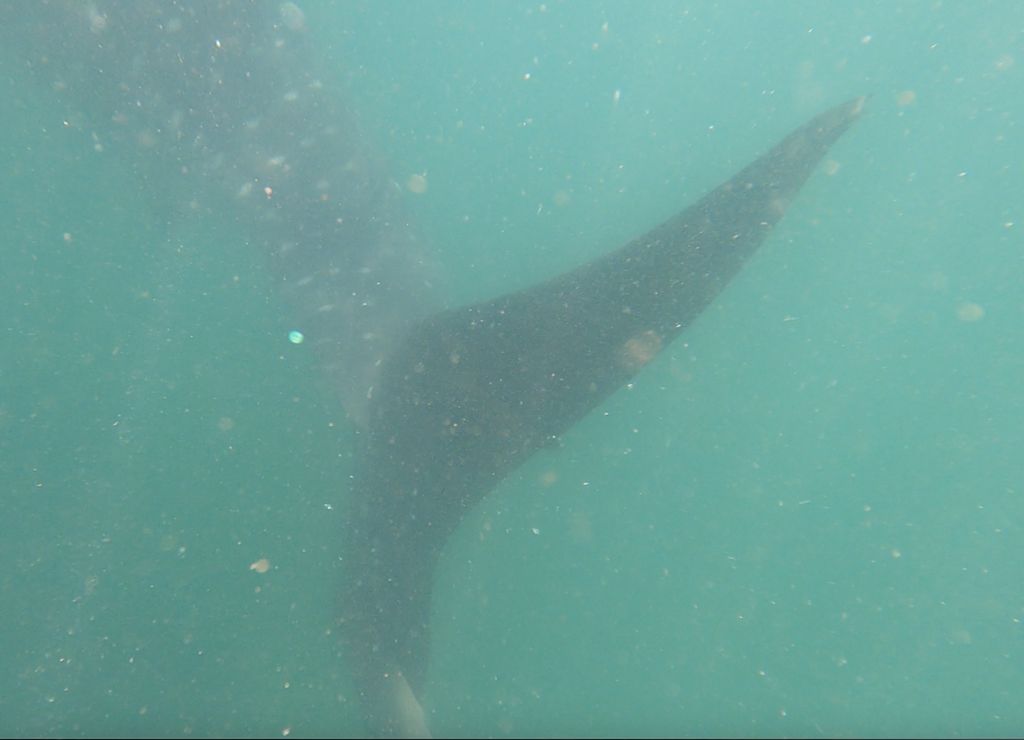 3efbed31-b57c-4ebf-be5f-60a729219c36