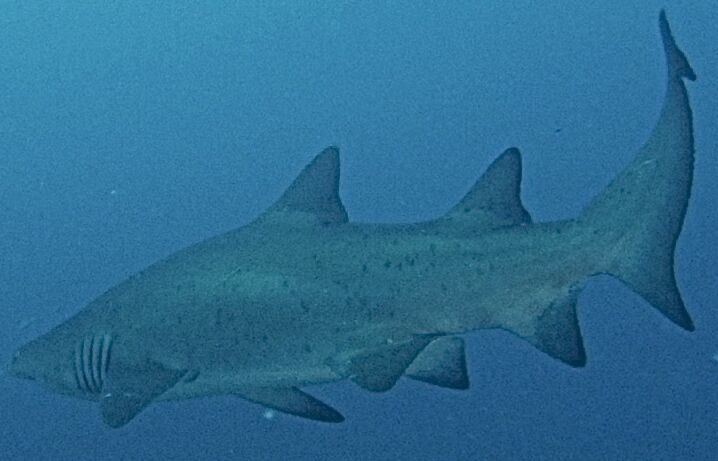 1028a2d5-3d55-4183-bec8-a0f6361bd48a