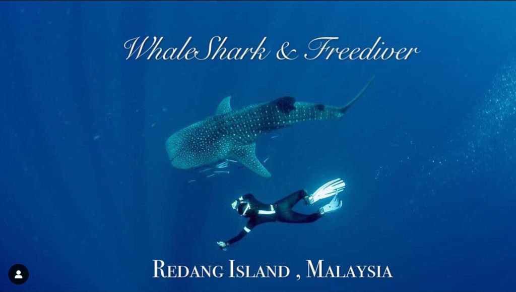 8aa6c0a1-7c07-4954-a92e-44a4cb3039d9