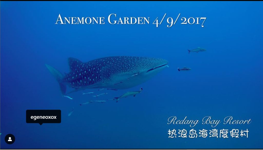 8aa6c0a1-7c07-4954-a92e-44a4cb3039d9