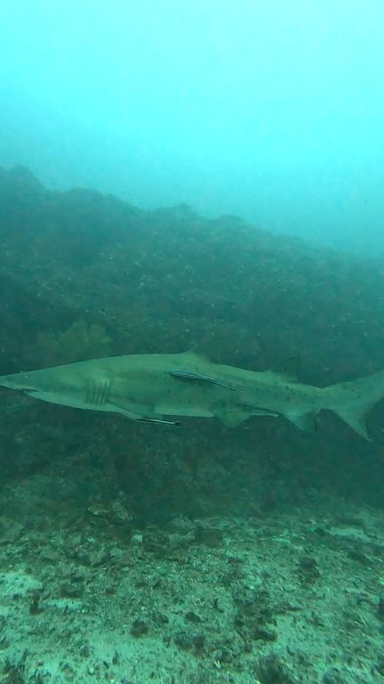 75e921fa-f056-4fce-bd79-986d7184fdbf