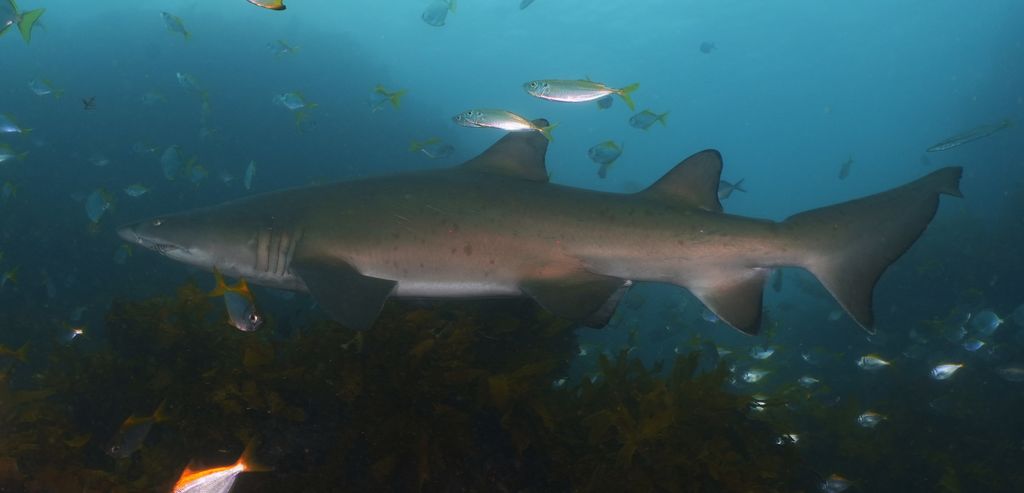 d70d8610-d18f-4019-a555-ffc0a204f972