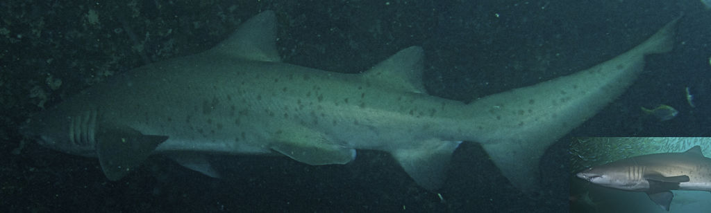 f7b19ef7-3cae-4a9b-a432-88fdb12a4674