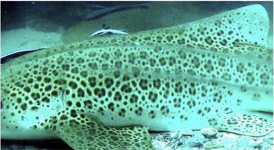 439f8174-ede0-4f85-b762-39263c49952d