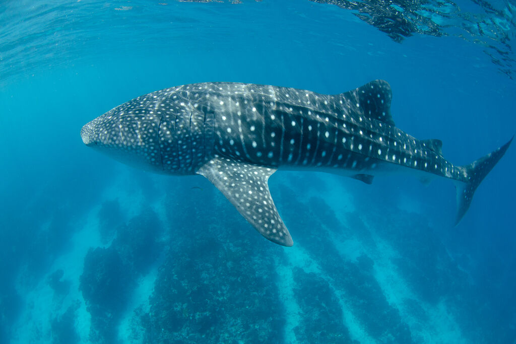 cdc9b184-e291-4157-8b2d-0ae9508221c4