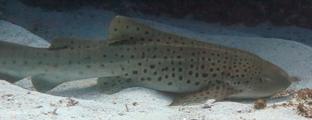 a1766b3b-49b5-4a7f-ad27-6dcb392c32fa