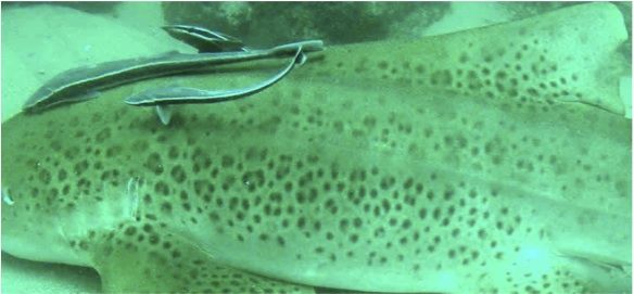 6c814f32-7735-4198-9508-a656d8b631ce