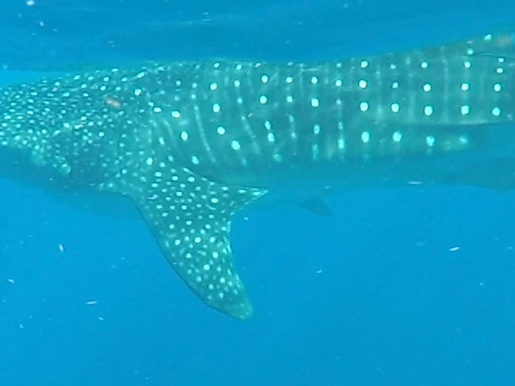 ac54c894-df1b-4cdc-b241-b904fc5940a4