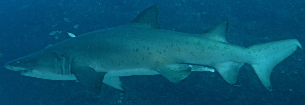 7d0bcadb-81f9-40b7-a133-cd21bc33bda0