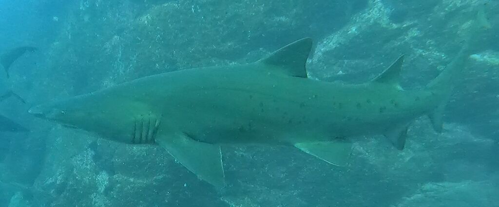 132979ac-5a0e-4c1b-a0e7-c398589a84a9