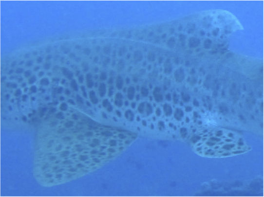 49defdc1-63ce-490b-baec-016fd0689e45