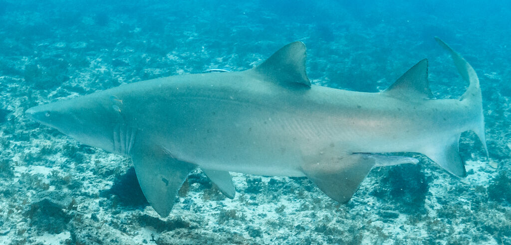 e6cdae39-38bd-4df7-adfb-cd1d679336cd