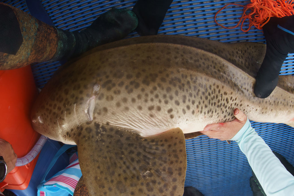 b9dab64d-1800-4405-b306-09ceaa47d84b