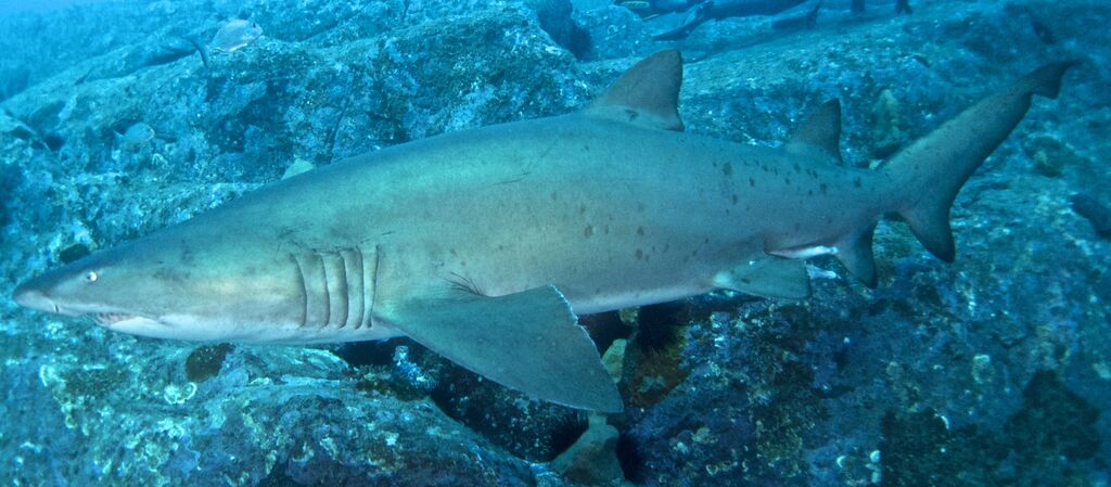 c29ba367-3b04-48b3-b2f1-cb49f0da686c