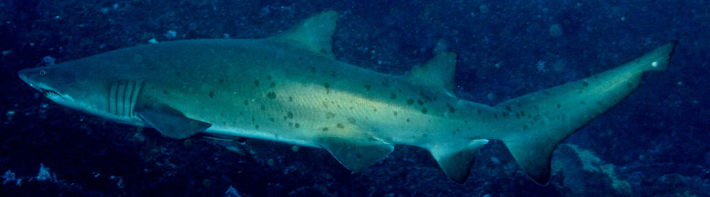 654c21d3-984b-4827-9583-c6d337b4aadd