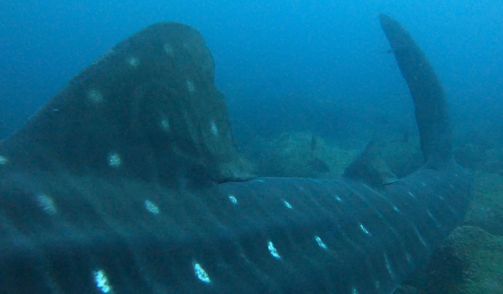 41356237-68a0-4710-bd4e-819ad22a0a70